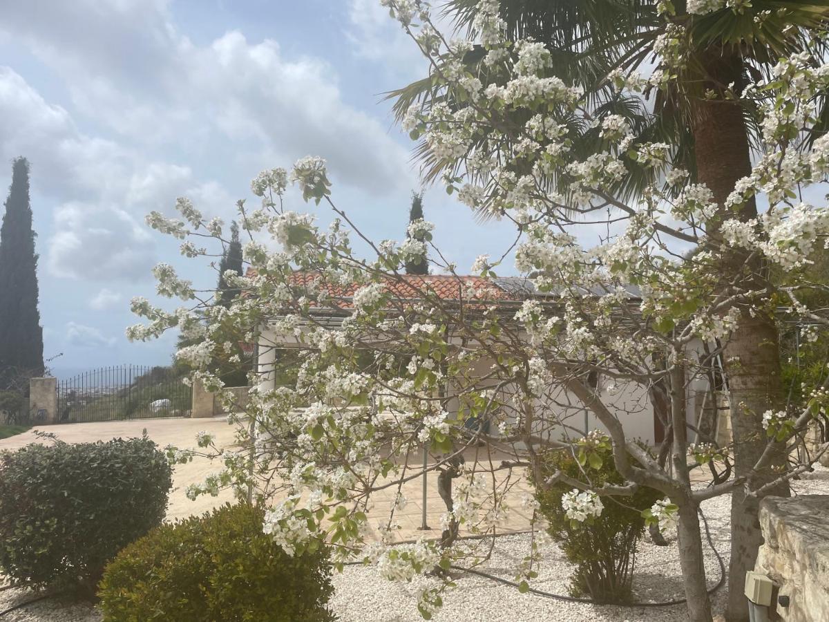 Beautiful Home Paphos Bagian luar foto