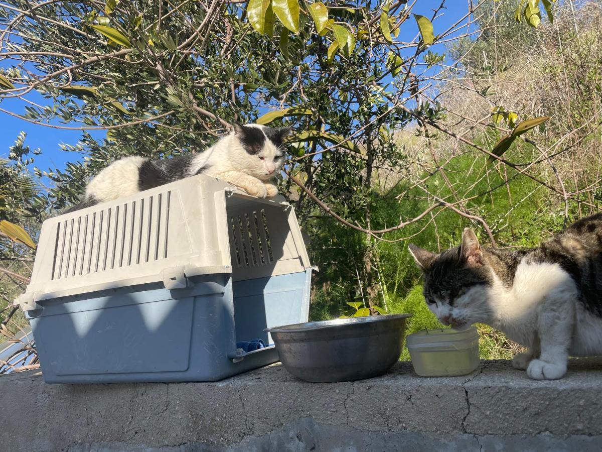 Beautiful Home Paphos Bagian luar foto